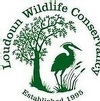 Wildlife Conservancy