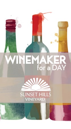 Winemaker for a Day - at Sunset Hills Vineyard