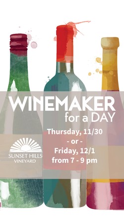 Winemaker for a Day - at 50 West Vineyards